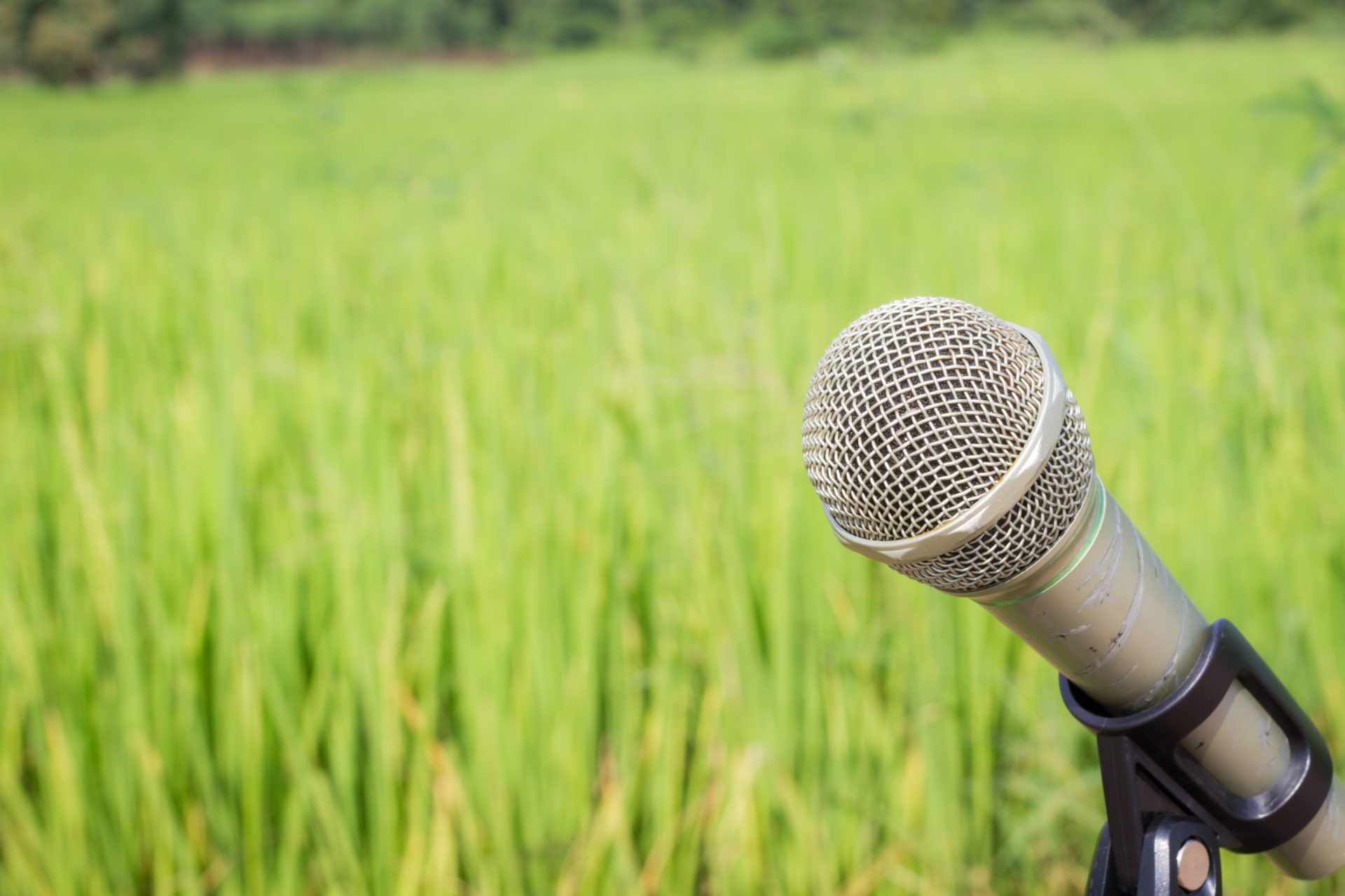 a microphone in a field